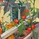 Tomatenpflanzen im Herbst,  2006<br/>Öl auf Leinwand<br/>85 x 70 cm
