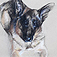 Junger Schäferhund, 2019<br/>Kreide und Pastell auf Büttenpapier<br/>50 x 60 cm